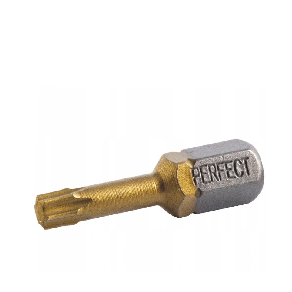 KOŃCÓWKA BIT TORX 10X25 66129