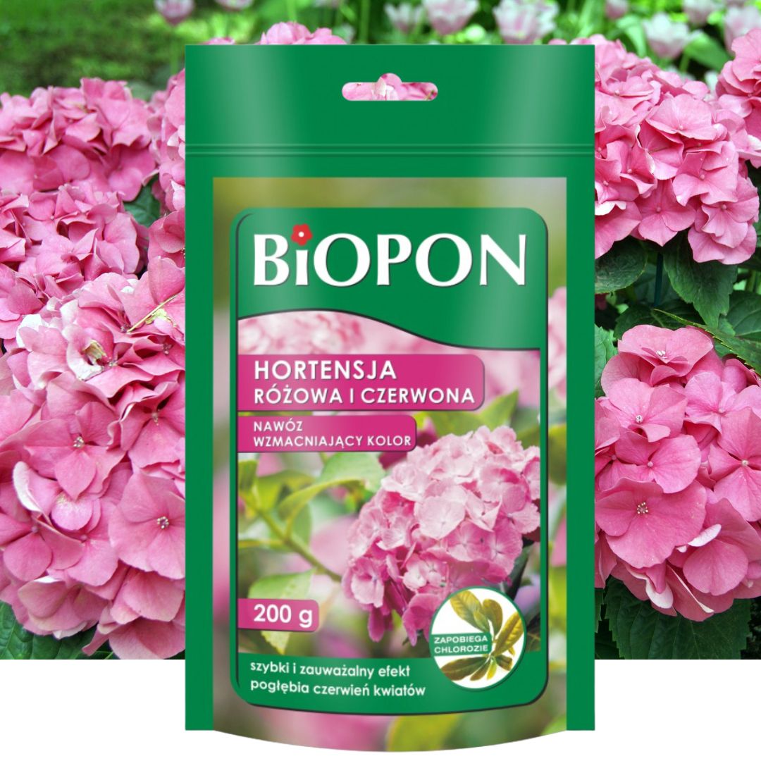NAWÓZ DO HORTENSJI WZMACNIAJĄCY KOLOR 200G Biopon