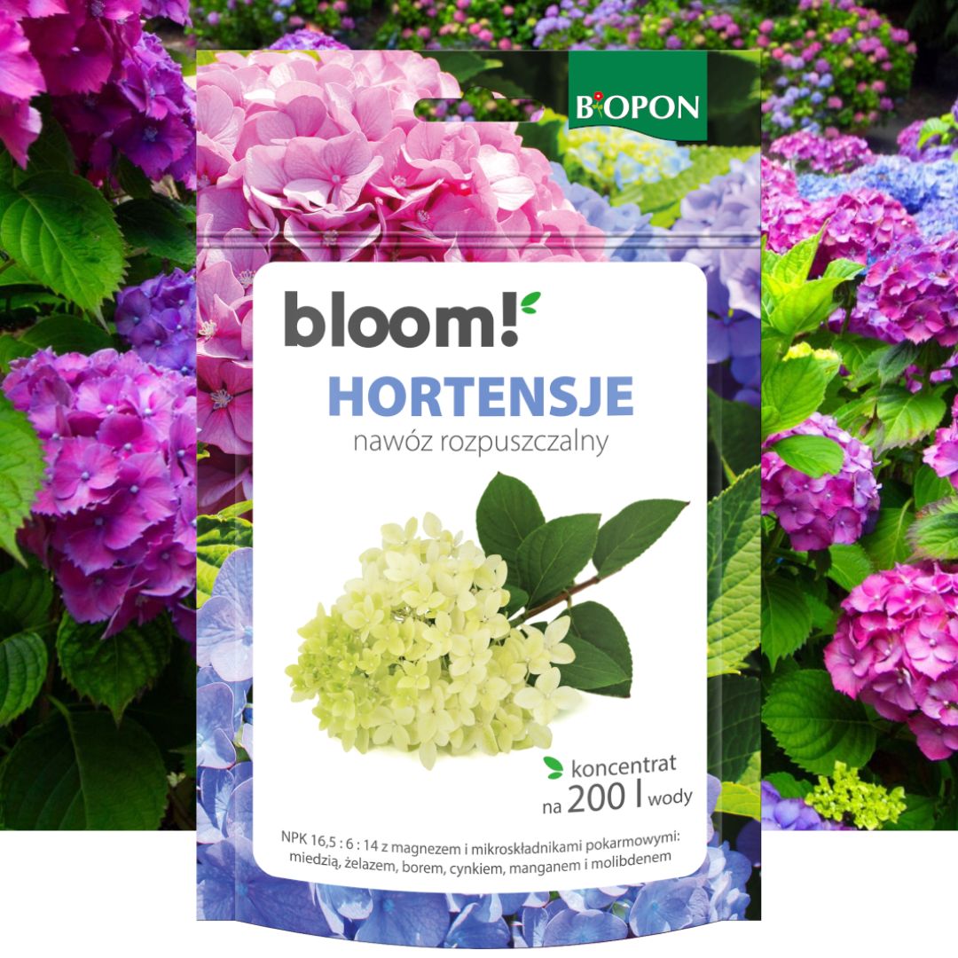 KONCENTRAT DO HORTENSJI NAWÓZ ROZPUSZCZALNY 200G Biopon