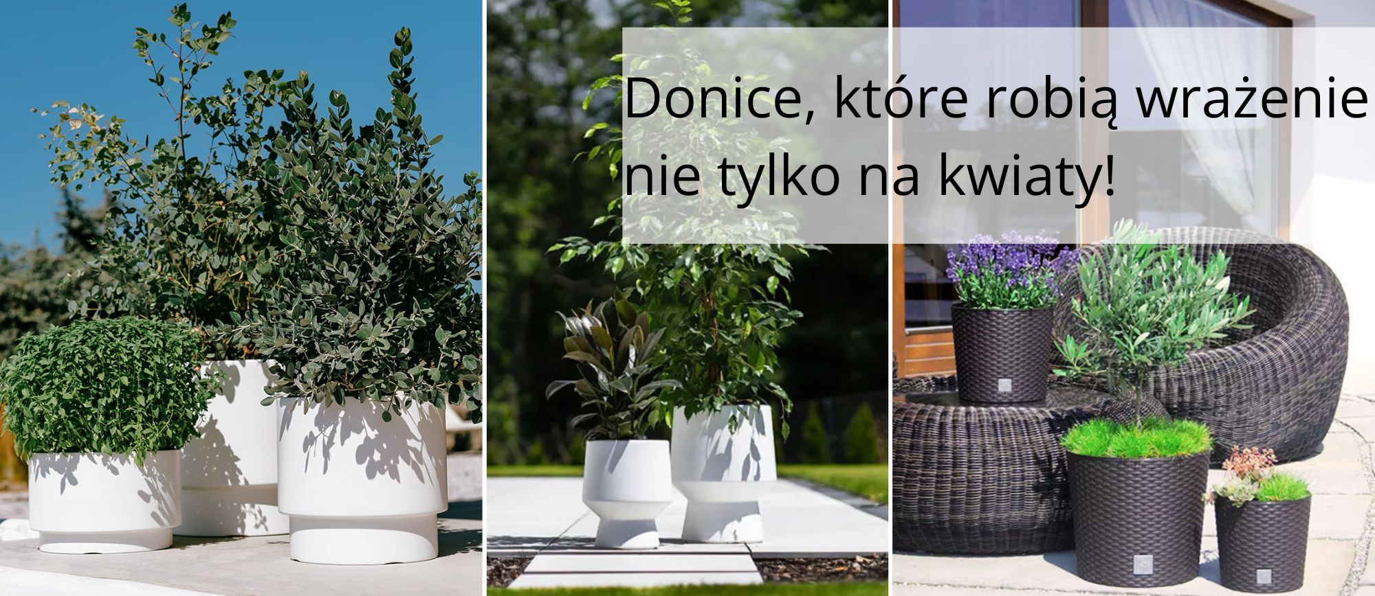 682771577b5e3_strona_www_budom31.jpg