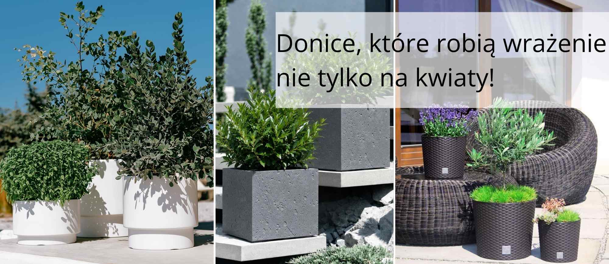 6a281fbedfaa0_strona_www_budom62.jpg